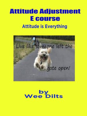 cover image of Attitude Adjustment E course